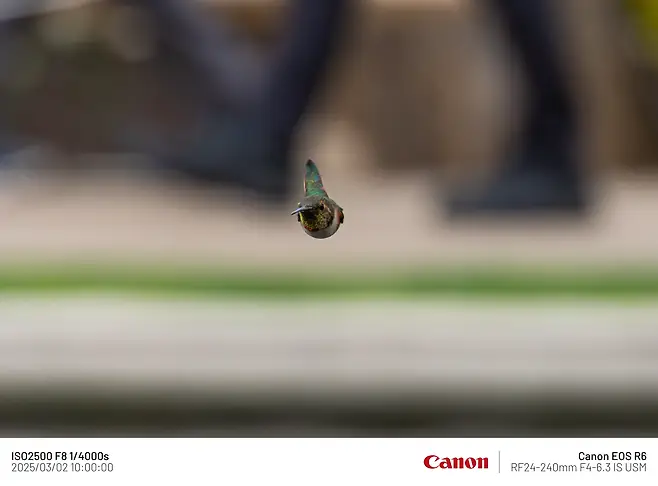 7fe88075b58075f43df1c1b014c104033b3f2f174d08d05bf14e48