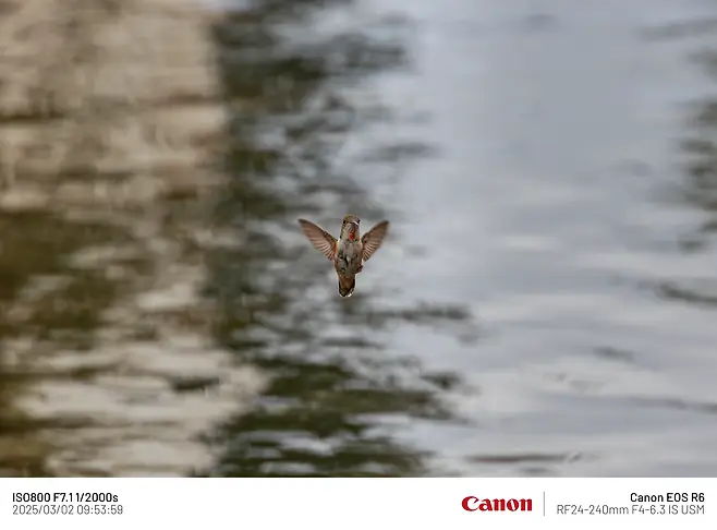 7fe88075b58075f53ef1c1b014c10403362917960c150e36ff1329