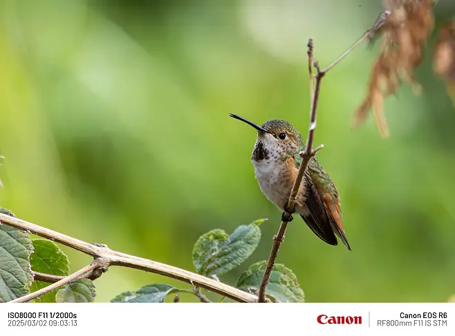 7fe88075b58075f520a8d3b706f11a39e662d6c6d2fb622690f4