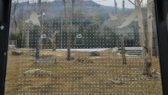 버드세이버가 설치된 유리 예시. 서울시