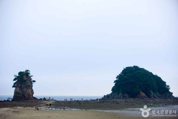 꽃지해수욕장 출처-포토코리아&nbsp;한국관광공사 김지호