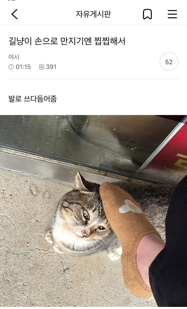 image.png 길고양이 손으로 만지기 찝찝해서