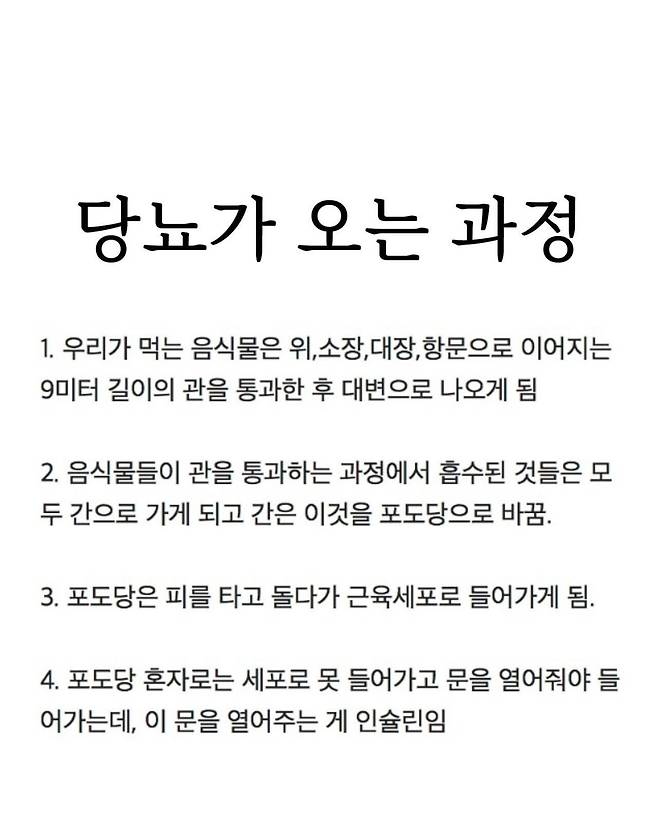 20250305042403_0AYLL6gOwb.jpg [상식] 당뇨의 원인과 과정