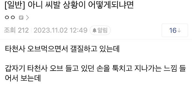 요즘 일본에서 서식하는 솔개,독수리 맹금류들 근황
