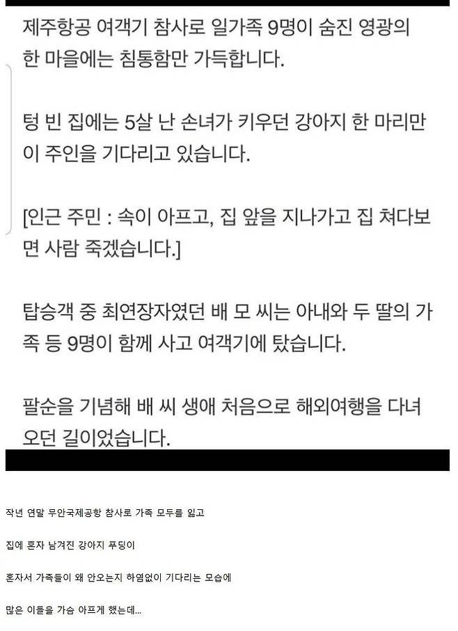 제주항공 사고로 온가족을 모두 잃은 강아지 근황