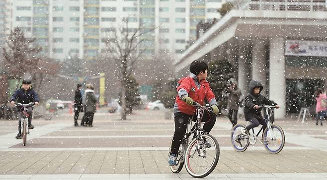 서울시가 공공자전거 따릉이의 연령 제한을 폐지한다.[사진｜뉴시스]