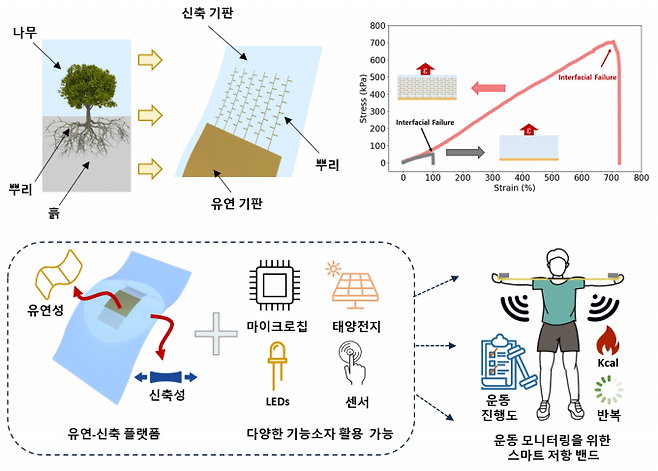 '주 뿌리'가 응력을 분산시키고 '보조 뿌리'가 균열 전파와 계면 박리를 방지하도록 설계된 전자기판의 구조를 나타낸 모식도. KAIST 제공