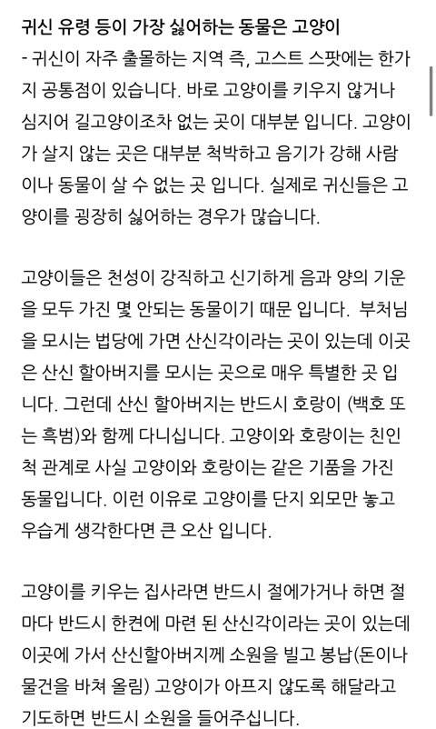 1000071284.jpg 귀신이 가장 싫어하는 고양이