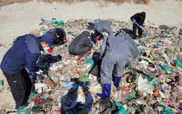 60대 여성이 아들 수술비로 쓸 현금 2,600만 원을 쓰레기에 섞어 버렸다는 딱한 사정을 들은 세종시 환경미화원들이 지난달 24일 크린넷에서 압축된 거대한 쓰레기 더미에서 현금을 찾고 있다. 세종시 제공