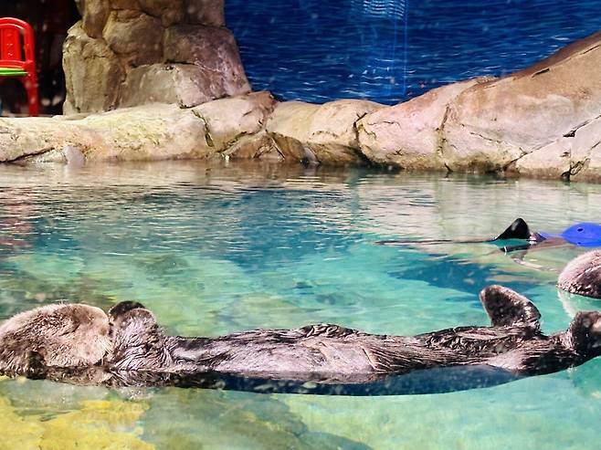 KakaoTalk_20250307_054852427.jpg [여행기]44일간 미국여행 32~33 / 애틀란타