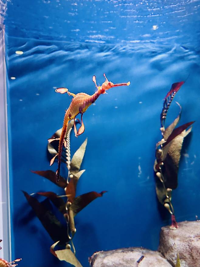 KakaoTalk_20250307_055234015.jpg [여행기]44일간 미국여행 32~33 / 애틀란타