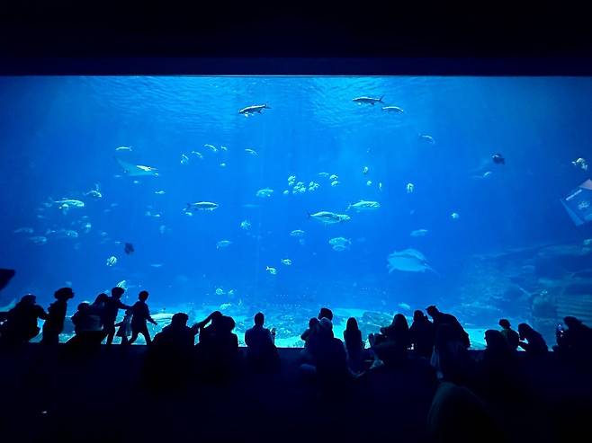 KakaoTalk_20250307_054656345.jpg [여행기]44일간 미국여행 32~33 / 애틀란타