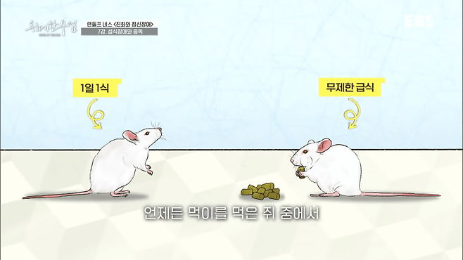 굶는 다이어트가 살찌는 이유.