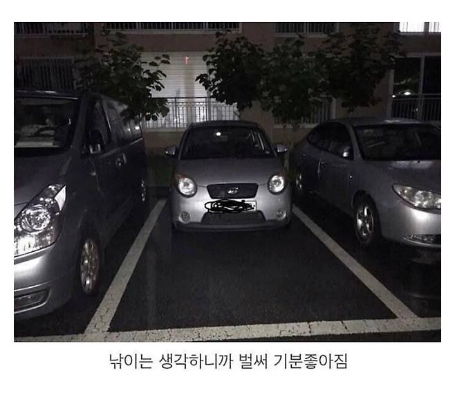 Internet_20250307_162756_2.jpeg 경차 운전자들의 취미.jpg