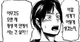 진격의 거인 본...