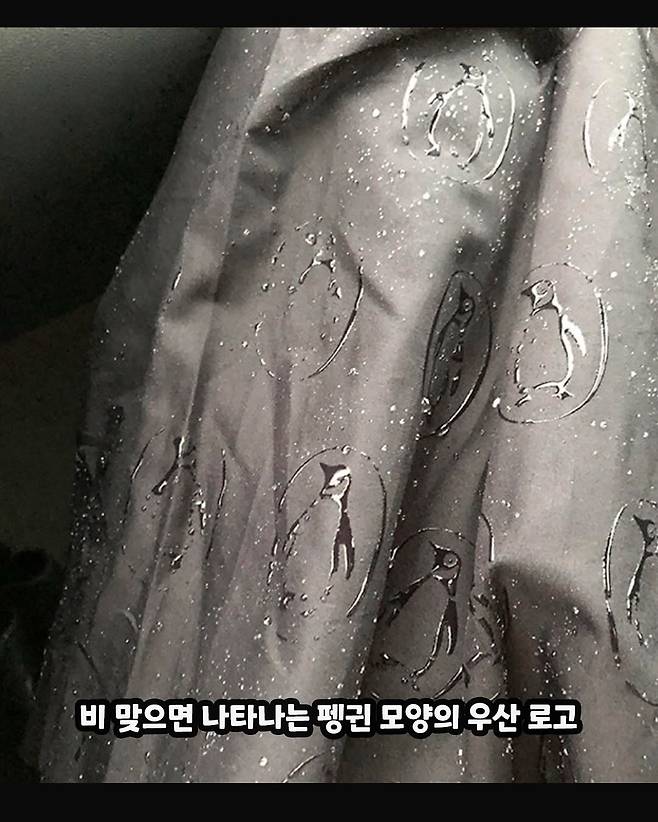 z2_zzal_20250302_p_3579211200170870862_8_3579096930150150121.jpg 엄청 잘만들고 귀여운 생활 제품 디자인