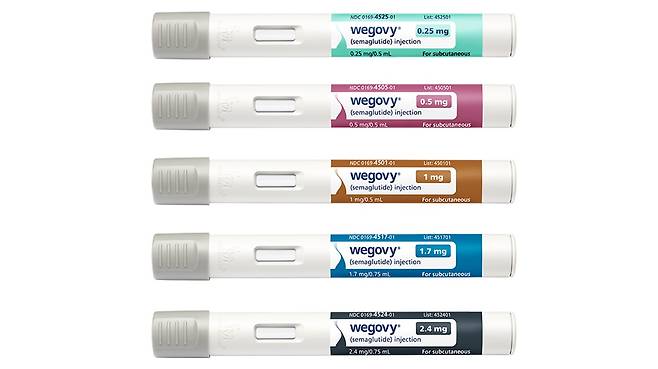 노보 노디스크가 위고비 5종 가격을 인하하고 약을 환자 집으로 직접 배송하는 '노보케어 파마시'를 운영한다./사진=노보 노디스크 제공