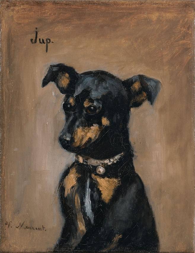 빅토린 뫼랑, Jup