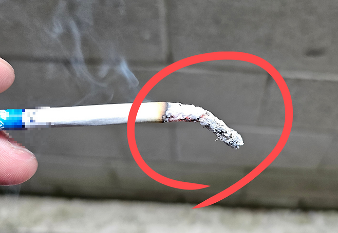 담배가 타들어 가고 있다.[독자 제공]