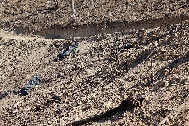 2025년 2월28일 경남 밀양 춘복산. 2년9개월 전인 2022년 5월 산불이 일어났다. 막대한 돈·인력이 투입돼 재개발식 벌채와 조림이 이뤄졌다. 여전히 황량한 모습이다.