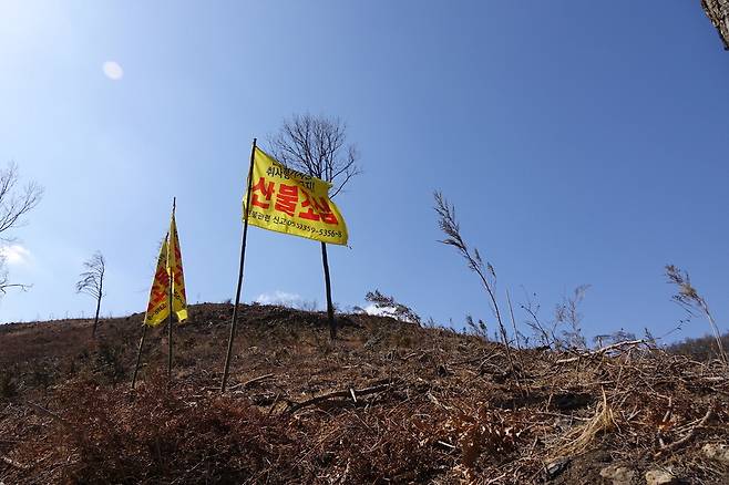 2025년 2월28일 경남 밀양 춘복산에 산불 조심 깃발이 펄럭이고 있다. 이곳엔 2년9개월 전인 2022년 5월 산불이 발생했다. 막대한 돈·인력이 투입돼 재개발식 벌채와 조림이 이뤄졌다. 여전히 황량한 모습이다.