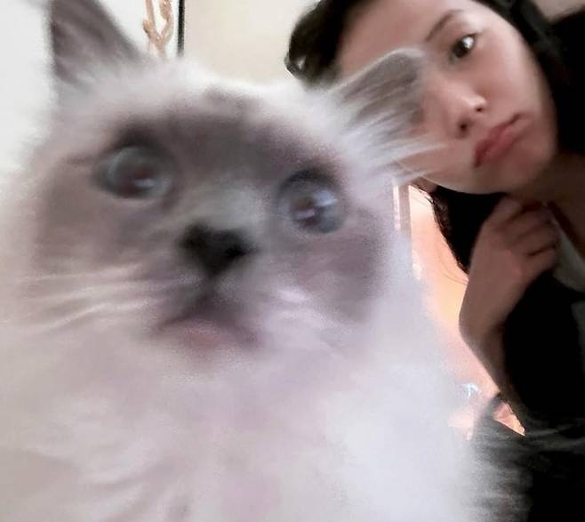 지수가 프랑스 파리 르 브리스톨에서 호텔 마스코트 고양이 소크라테와 찍은 모습 / 사진=블랙핑크 지수 인스타그램