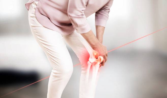 무릎 퇴행성 관절염은 여성 환자가 남성보다 압도적으로 많다. [사진=클립아트코리아]