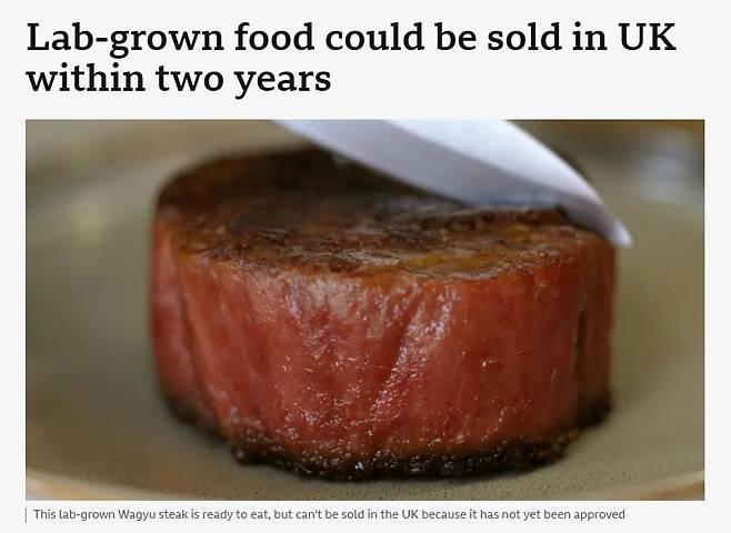 실험실 배양육 -BBC 갈무리