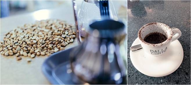 (좌)고흥은 커피 생산지기도 하다. (우)고흥산 커피로 만든 에스프레소