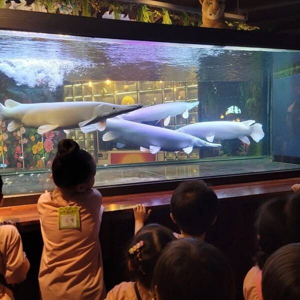 출처-몬스터리움 인스타그램