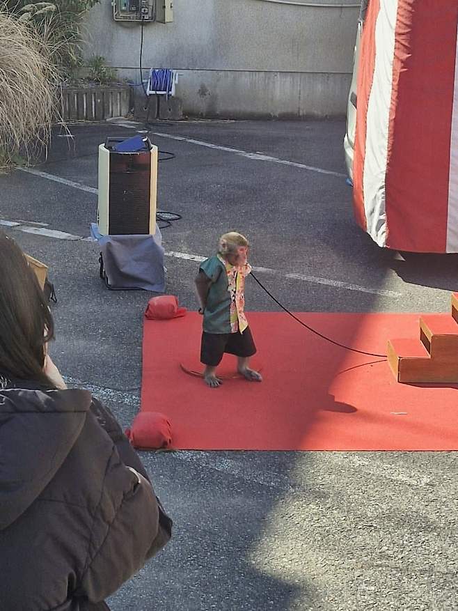 3fb8c32fffd711ab6fb8d38a4e83746fc0da9c81047bccd4fec656c3f8a776e5485d262a2a2ba49ebd3c84c4a6