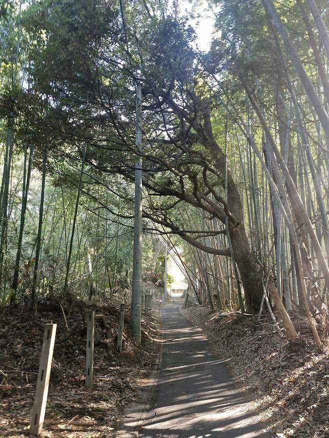 3fb8c32fffd711ab6fb8d38a4788766d4f5ca499ff4c43a86279d5253e3f0eef42084d7d10aaac8da8c8062fa8ef