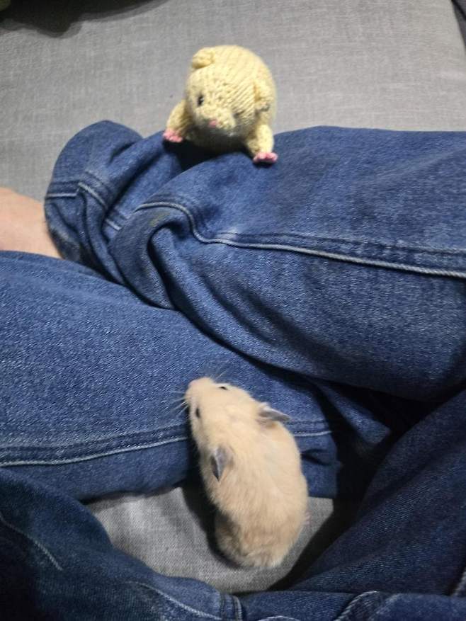 06bcdb27eae639aa658084e54484746e3e649c5241ea4289d9d74188774e54eb7616be75f48d41c26bdb543aa4