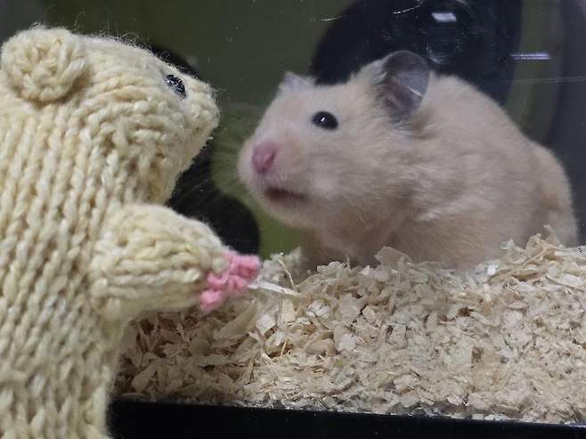 06bcdb27eae639aa658084e54484746e3e649c5241ed4f89d4d34d88061415a282fd9d8e1f1c00c273effa3ca0f18bb7