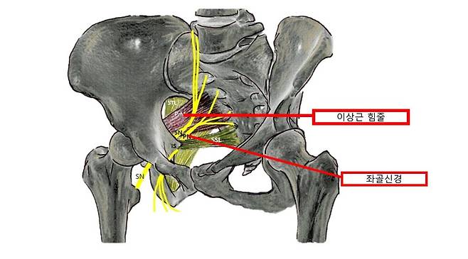 사진=서울성모병원