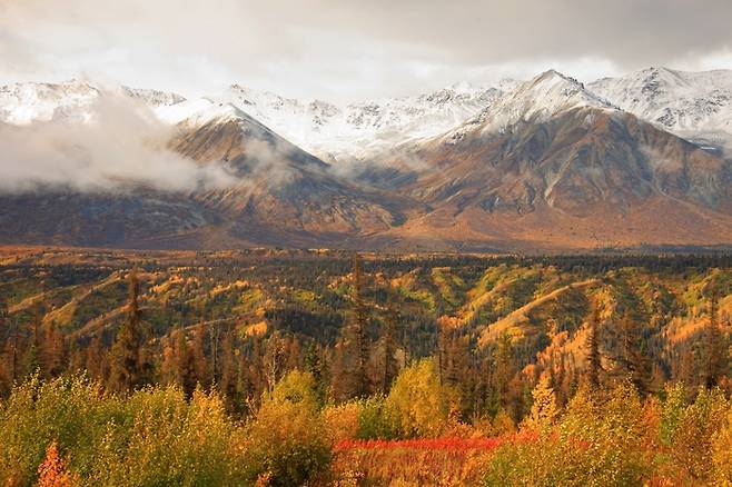 클루아니 국립공원.  /사진= Tourism Yukon
