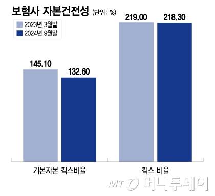 보험사 자본건전성/그래픽=이지혜
