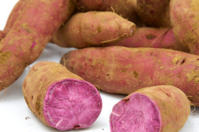 자색고구마