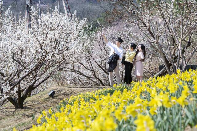 페어리타운. 에버랜드 제공
