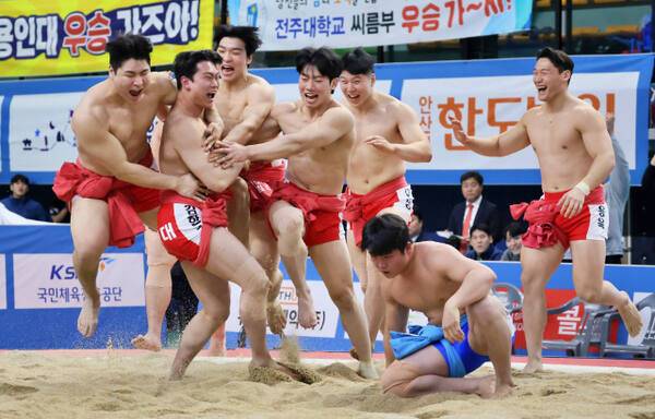 13일 경북 문경실내체육관에서 열린 제55회 회장기 전국장사씨름대회 대학부 단체전 결승에서 대구대에 4대0 완승을 거두고 우승한 인하대 선수들이 우승이 확정된 순간 모래판으로 뛰어나와 환호하고 있다. 대한씨름협회 제공