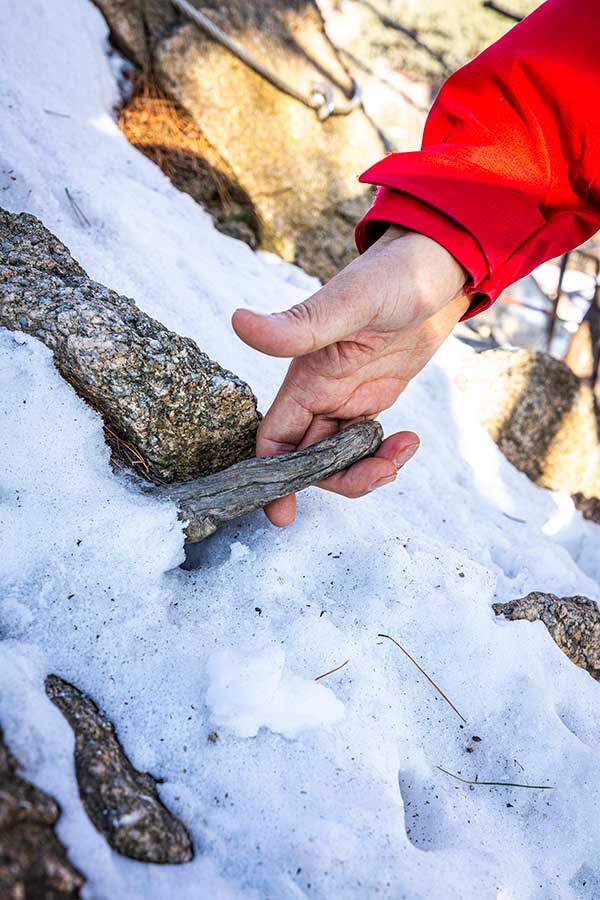 나무를 밟거나 붙잡는 식으로 이용해선 안 된다. 나무가 부러지면 환경파괴는 물론, 실족할 우려도 높다.&nbsp;
