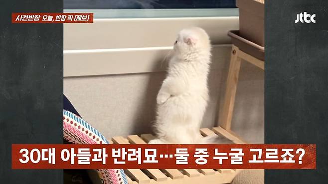 (JTBC '사건반장')