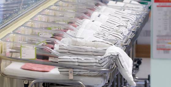 Newborn babies at a hospital in Incheon on Feb. 26 [NEWS1]