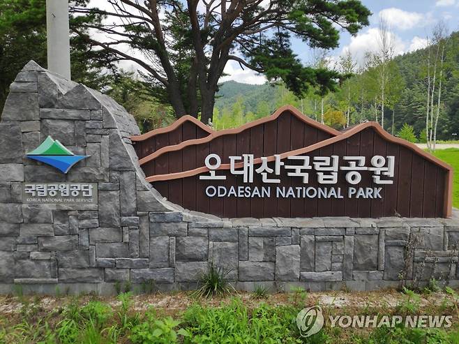 오대산국립공원사무소 [연합뉴스 자료사진]