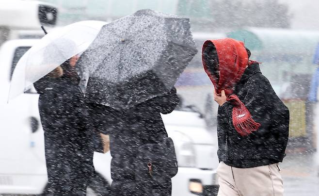 전국에 비 또는 눈이 내린 서울 종로구 광화문광장에서 시민들이 눈을 맞으며 발걸음을 옮기고 있다. /뉴스1
