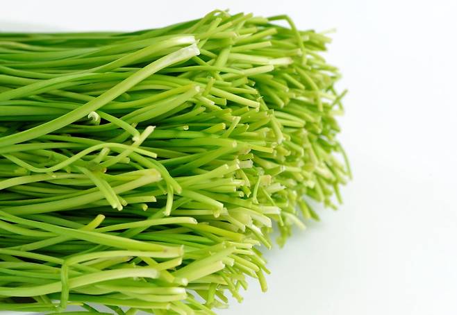 사진=클립아트코리아