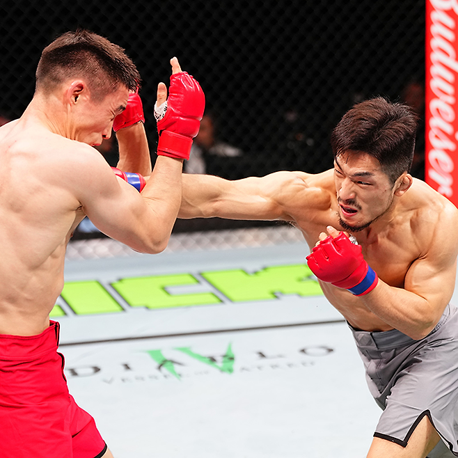 유수영(오른쪽)이 2024년 11월 중국 마카오특별행정구 아오먼인허쭝허두자청 Road to UFC 시즌3 밴텀급 토너먼트 결승전에서 발인 제슬리(중국어명 바얼겅 제레이이쓰)를 공격하고 있다. 사진=TKO