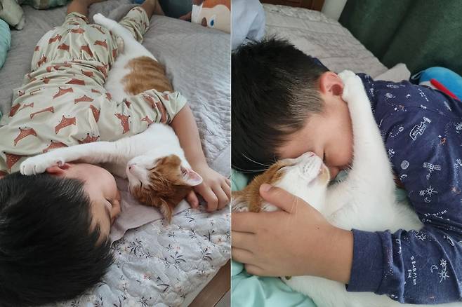 항상 꼭 붙어 자는 고양이 금동이와 아들 윤우 (인스타그램 Hana Ryu 제공) ⓒ 뉴스1