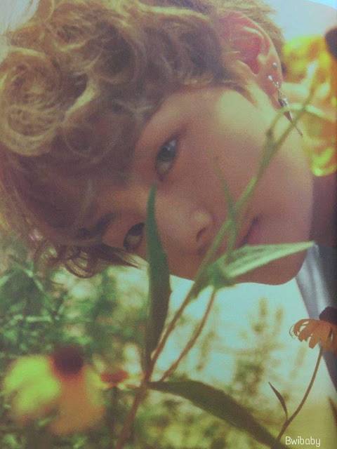 536deb4f109b6b03ea7e934328414478b63bb896