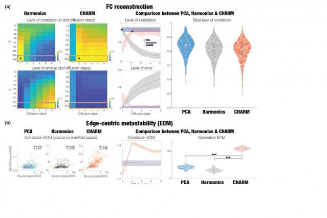기존 뇌 분석 방식과 CHARM 분석 기법을 비교한 그래프(이미지=Physical Review E)